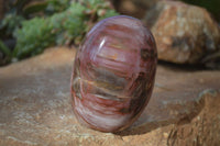 Polished Red Podocarpus Petrified Wood Standing Free Forms x 3 From Mahajanga, Madagascar - Toprock Gemstones and Minerals 