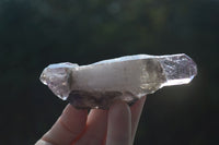 Natural Large Smokey Amethyst / Window Amethyst Crystals  x 12 From Chiredzi, Zimbabwe - Toprock Gemstones and Minerals 