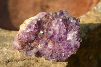 Natural Small Dark "Amethystos" Amethyst Clusters x 35 From Kwaggafontein, South Africa - TopRock