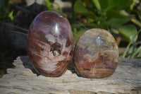 Polished Red Podocarpus Petrified Wood Standing Free Forms x 3 From Mahajanga, Madagascar - Toprock Gemstones and Minerals 
