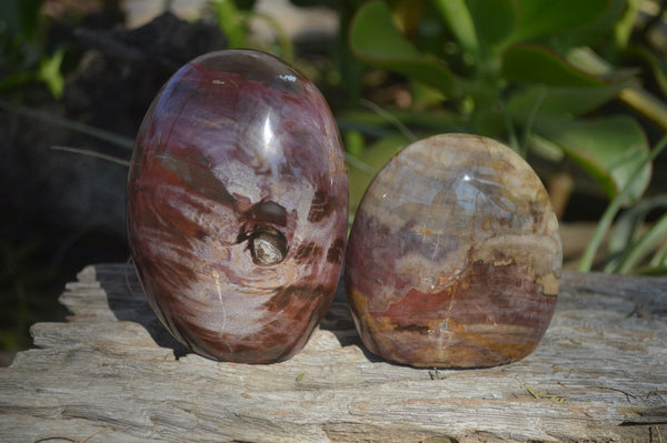 Polished Red Podocarpus Petrified Wood Standing Free Forms x 3 From Mahajanga, Madagascar - Toprock Gemstones and Minerals 
