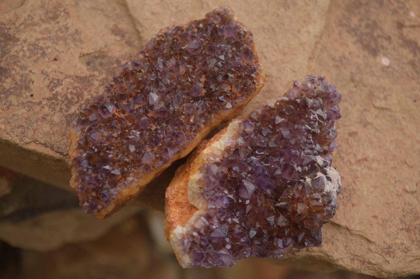 Natural Dark "Amethystos" Amethyst Clusters  x 18 From Kwaggafontein, South Africa - TopRock