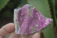 Natural Salrose Cobaltion Dolomite Specimens x 12 From Kakanda, Congo - Toprock Gemstones and Minerals 