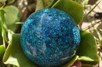 Natural Chrysocolla Conglomerate Sphere x 1 From Congo - TopRock