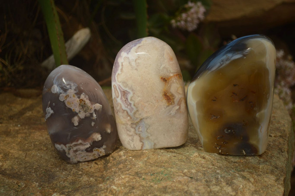 Polished Mixed Agate Standing Free Forms  x 3 From Madagascar - Toprock Gemstones and Minerals 