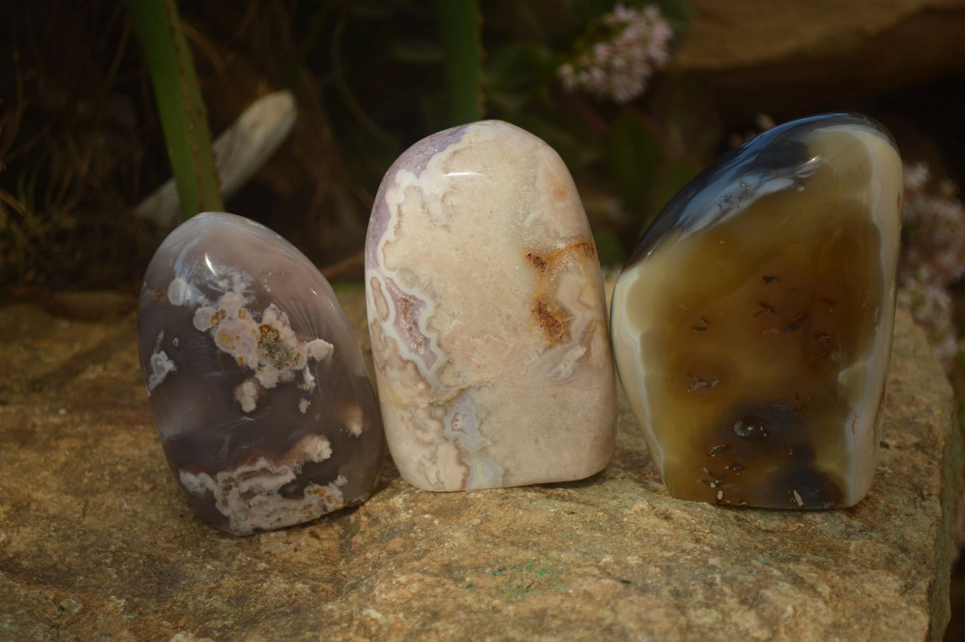 Polished Mixed Agate Standing Free Forms  x 3 From Madagascar - Toprock Gemstones and Minerals 