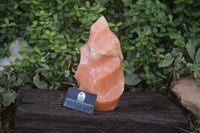Polished Extra Large Orange Twist Calcite Flame  x 1 From Madagascar - Toprock Gemstones and Minerals 