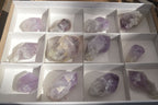 Natural Single Jacaranda Amethyst Crystals x 12 From Mumbwe, Zambia - Toprock Gemstones and Minerals 