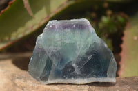 Polished  One Side Polished Watermelon Fluorite Pieces  x 12 From Uis, Namibia - Toprock Gemstones and Minerals 