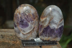 Polished Dream Amethyst Standing Free Forms  x 4 From Madagascar - Toprock Gemstones and Minerals 