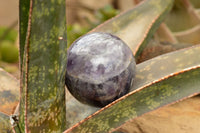 Polished Dream Amethyst Spheres  x 3 From Madagascar - TopRock