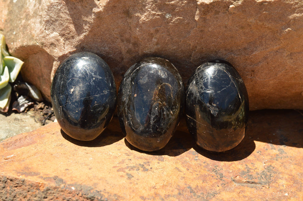 Polished Schorl Black Tourmaline Palm Stones  x 12 From Madagascar - TopRock