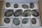 Polished  Flashy Labradorite Palm Stones  x 12 From Tulear, Madagascar - Toprock Gemstones and Minerals 