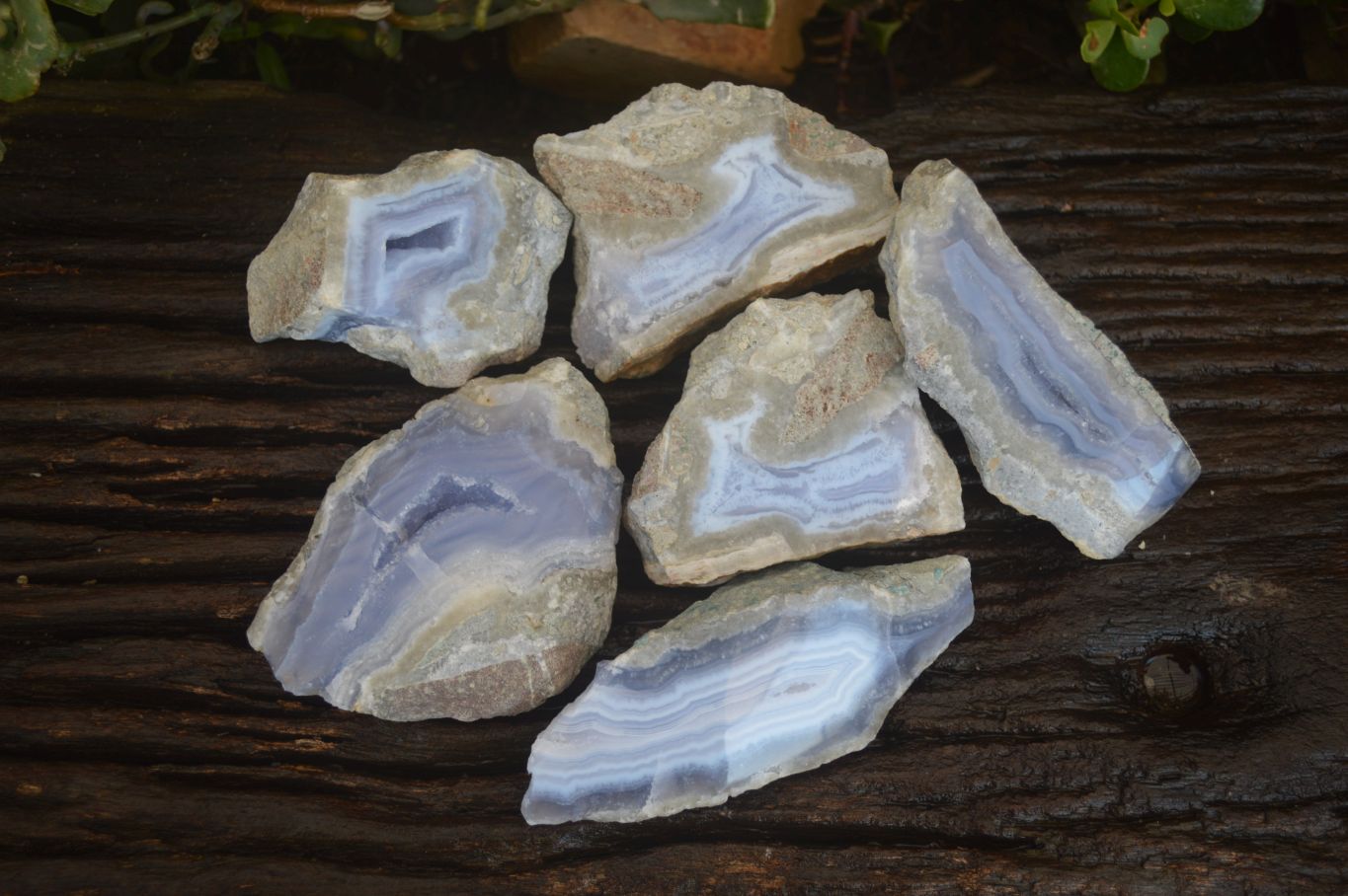 Polished One Side Blue Lace Agate Specimens x 6 From Nsanje, Malawi - Toprock Gemstones and Minerals 