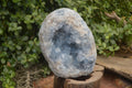 Natural Blue Celestite Geode Specimen  x 1 From Sakoany, Madagascar - Toprock Gemstones and Minerals 