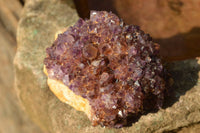 Natural Small Dark "Amethystos" Amethyst Clusters x 35 From Kwaggafontein, South Africa - TopRock