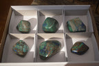 Polished  Blue Shattuckite Free Forms x 6 From Kaokoveld, Namibia - Toprock Gemstones and Minerals 