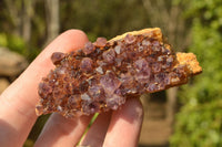 Natural Small Dark "Amethystos" Amethyst Clusters x 35 From Kwaggafontein, South Africa - TopRock