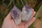 Natural Single Jacaranda Amethyst Crystals x 12 From Mumbwe, Zambia - Toprock Gemstones and Minerals 