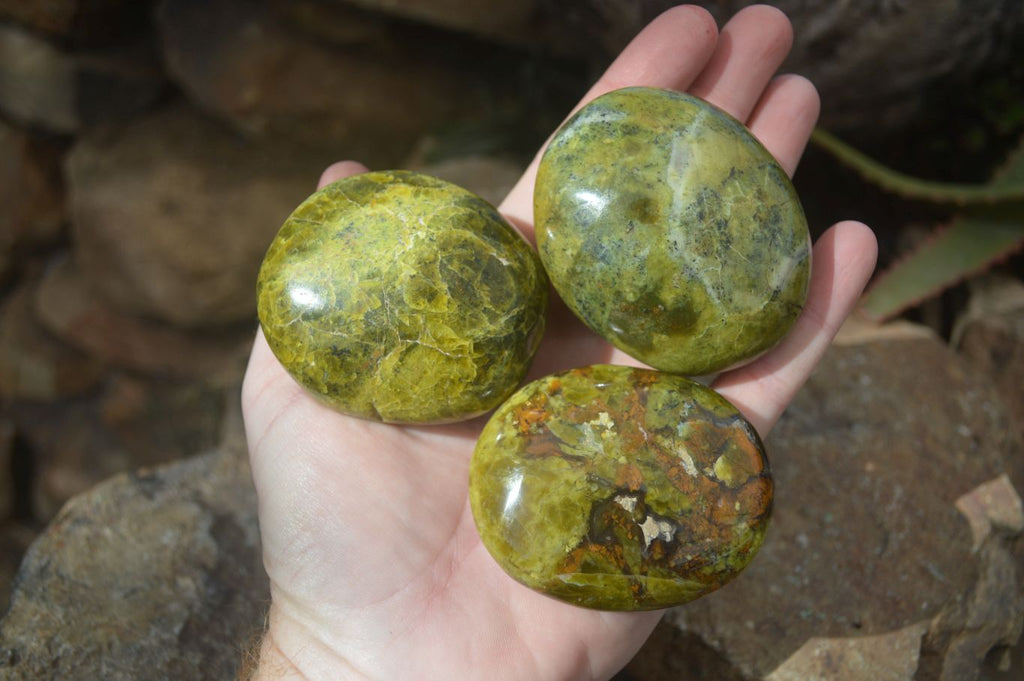 Polished Green Opal Galet / Palm Stones x 12 From Antsirabe, Madagascar - Toprock Gemstones and Minerals 
