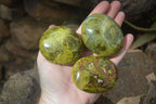 Polished Green Opal Galet / Palm Stones x 12 From Antsirabe, Madagascar - Toprock Gemstones and Minerals 