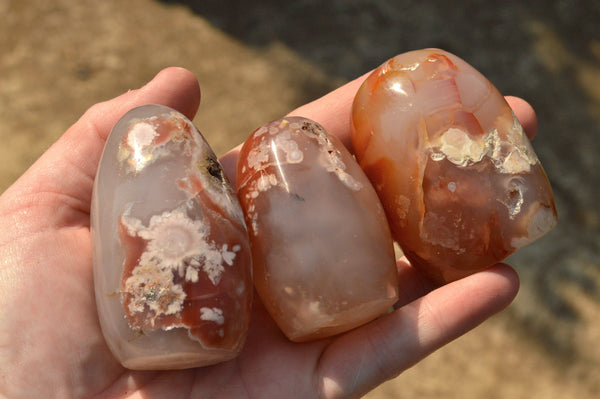 Polished Gorgeous Coral Flower Agate Standing Free Forms  x 6 From Madagascar - TopRock