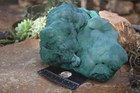 Natural Silky Botryoidal Malachite Specimen  x 1 From Kasompe, Congo - Toprock Gemstones and Minerals 