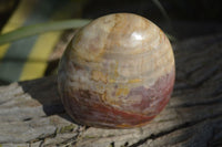Polished Red Podocarpus Petrified Wood Standing Free Forms x 3 From Mahajanga, Madagascar - Toprock Gemstones and Minerals 