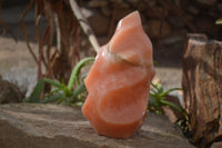 Polished Extra Large Orange Twist Calcite Flame  x 1 From Madagascar - Toprock Gemstones and Minerals 