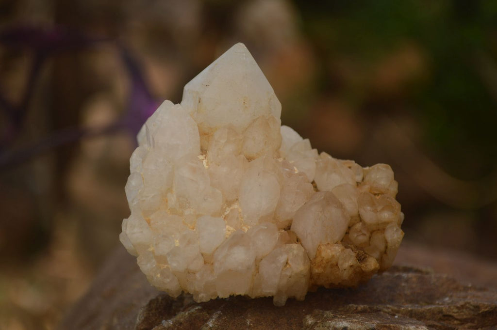 Natural Mixed Selection Of Quartz Clusters  x 12 From Madagascar - Toprock Gemstones and Minerals 