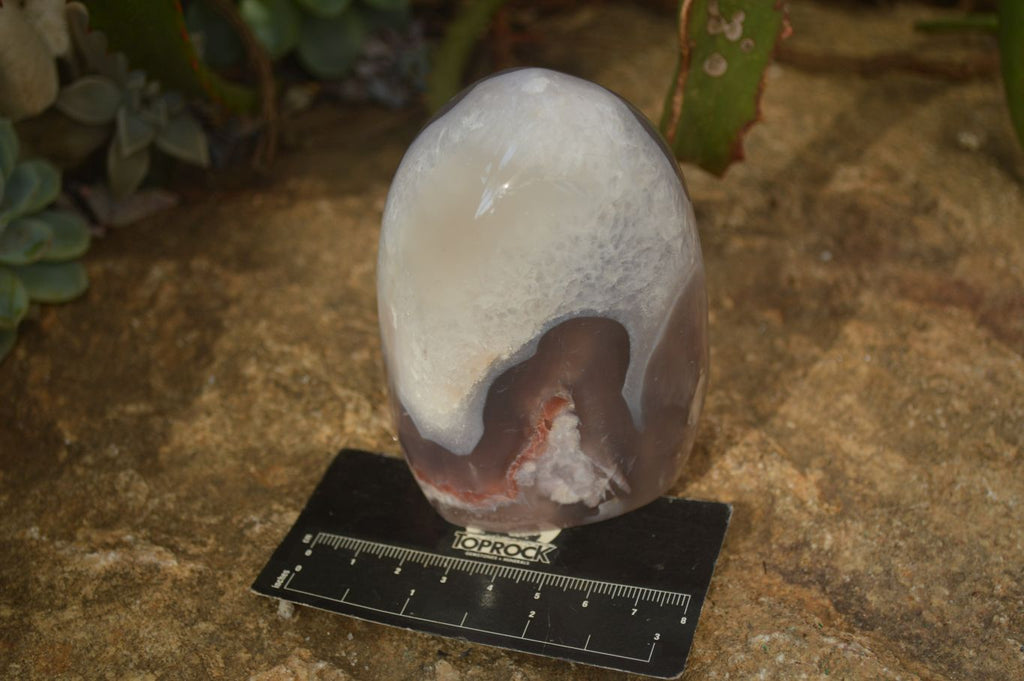 Polished Mixed Agate Standing Free Forms  x 3 From Madagascar - Toprock Gemstones and Minerals 