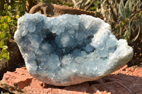 Natural Blue Celestite Geode Specimen With Gemmy Cubic Crystals  x 1 From Sakoany, Madagascar - TopRock