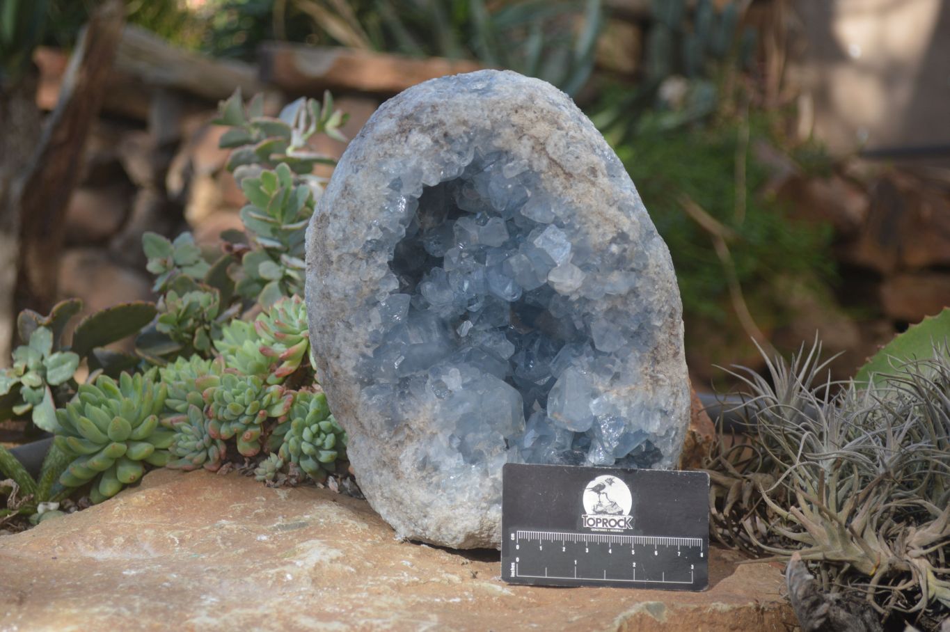 Natural Blue Celestite Geode Specimen  x 1 From Sakoany, Madagascar - Toprock Gemstones and Minerals 