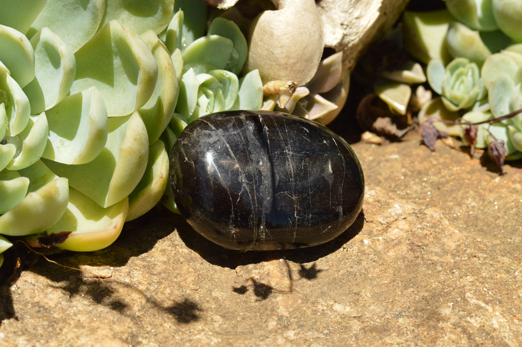 Polished Schorl Black Tourmaline Palm Stones  x 12 From Madagascar - TopRock