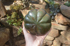 Polished Green Verdite Pumpkin Carving x 1 From Mazoe, Zimbabwe - Toprock Gemstones and Minerals 