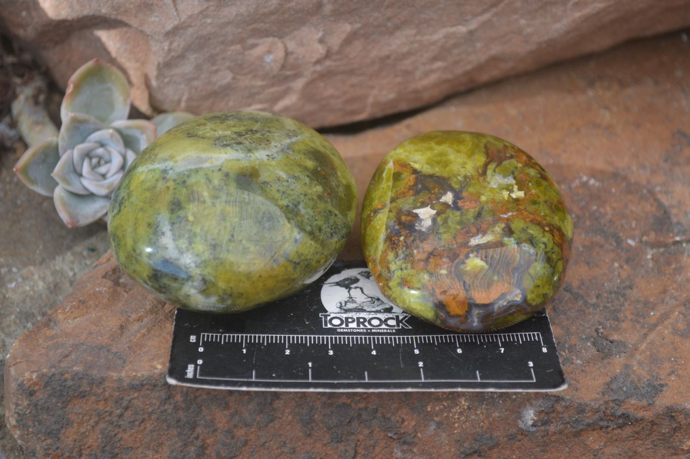 Polished Green Opal Galet / Palm Stones x 12 From Antsirabe, Madagascar - Toprock Gemstones and Minerals 