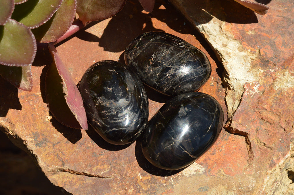 Polished Schorl Black Tourmaline Palm Stones  x 12 From Madagascar - TopRock
