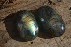 Polished  Flashy Labradorite Palm Stones  x 12 From Tulear, Madagascar - Toprock Gemstones and Minerals 