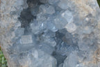 Natural Blue Celestite Geode Specimen  x 1 From Sakoany, Madagascar - Toprock Gemstones and Minerals 