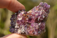 Natural Small Dark "Amethystos" Amethyst Clusters x 35 From Kwaggafontein, South Africa - TopRock