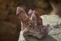 Natural Red Hematoid Quartz Specimens x 7 From Karoi, Zimbabwe - Toprock Gemstones and Minerals 