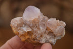 Natural Mixed Spirit Quartz Crystal Specimens x 24 From Boekenhouthoek, South Africa - Toprock Gemstones and Minerals 
