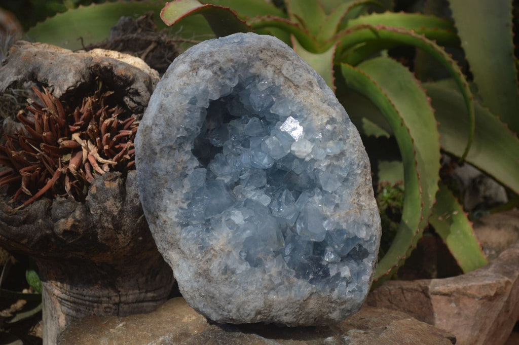 Natural Blue Celestite Geode Specimen  x 1 From Sakoany, Madagascar - Toprock Gemstones and Minerals 