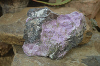 Natural Rough Stichtite & Serpentine Specimens x 2 From Barberton, South Africa
