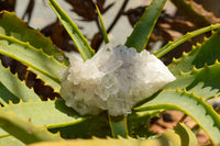 Natural Mixed Quartz Clusters  x 6 From Madagascar - TopRock