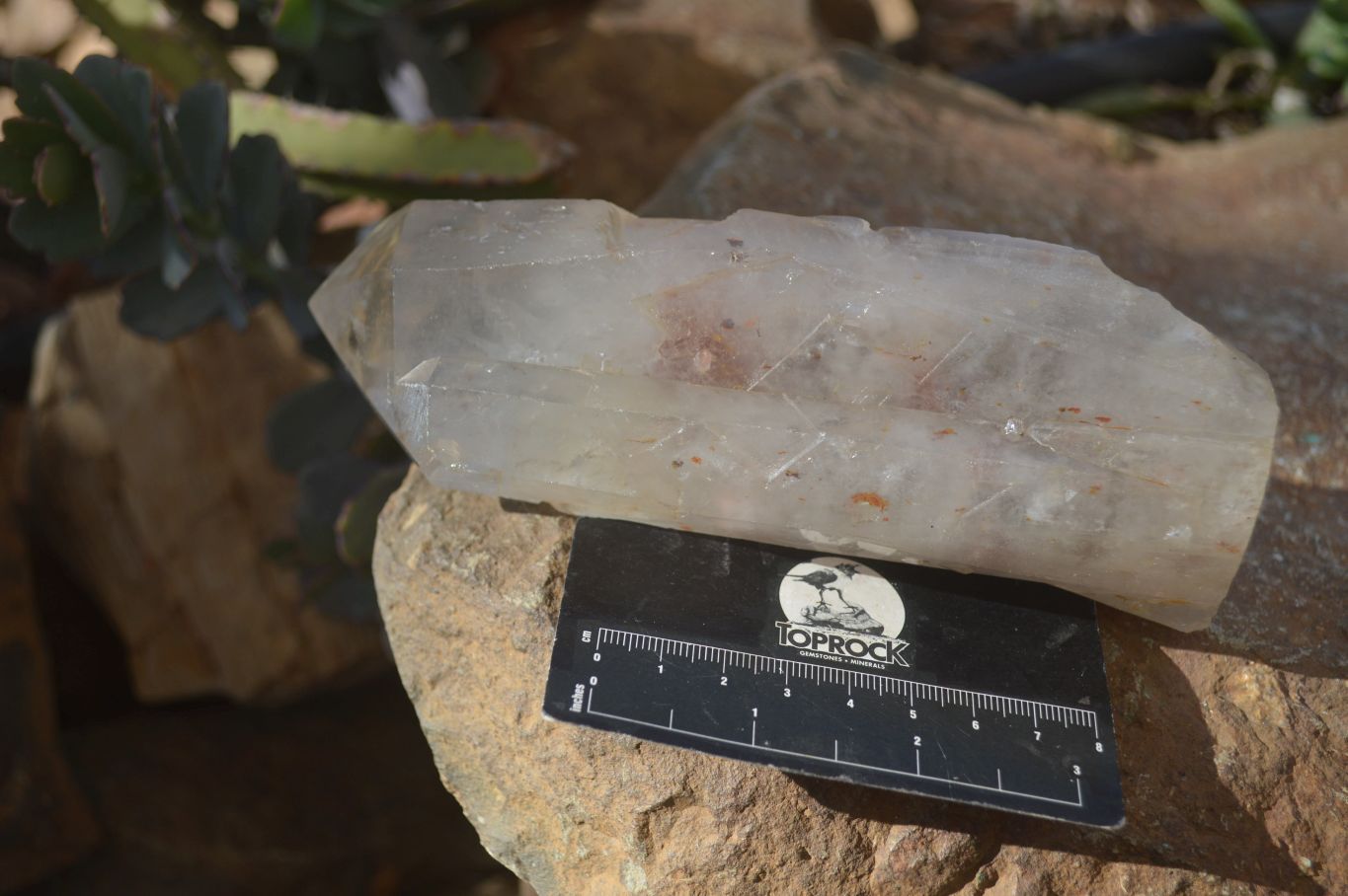 Natural Semi Polished Quartz Crystals x 2 From Angola - Toprock Gemstones and Minerals 