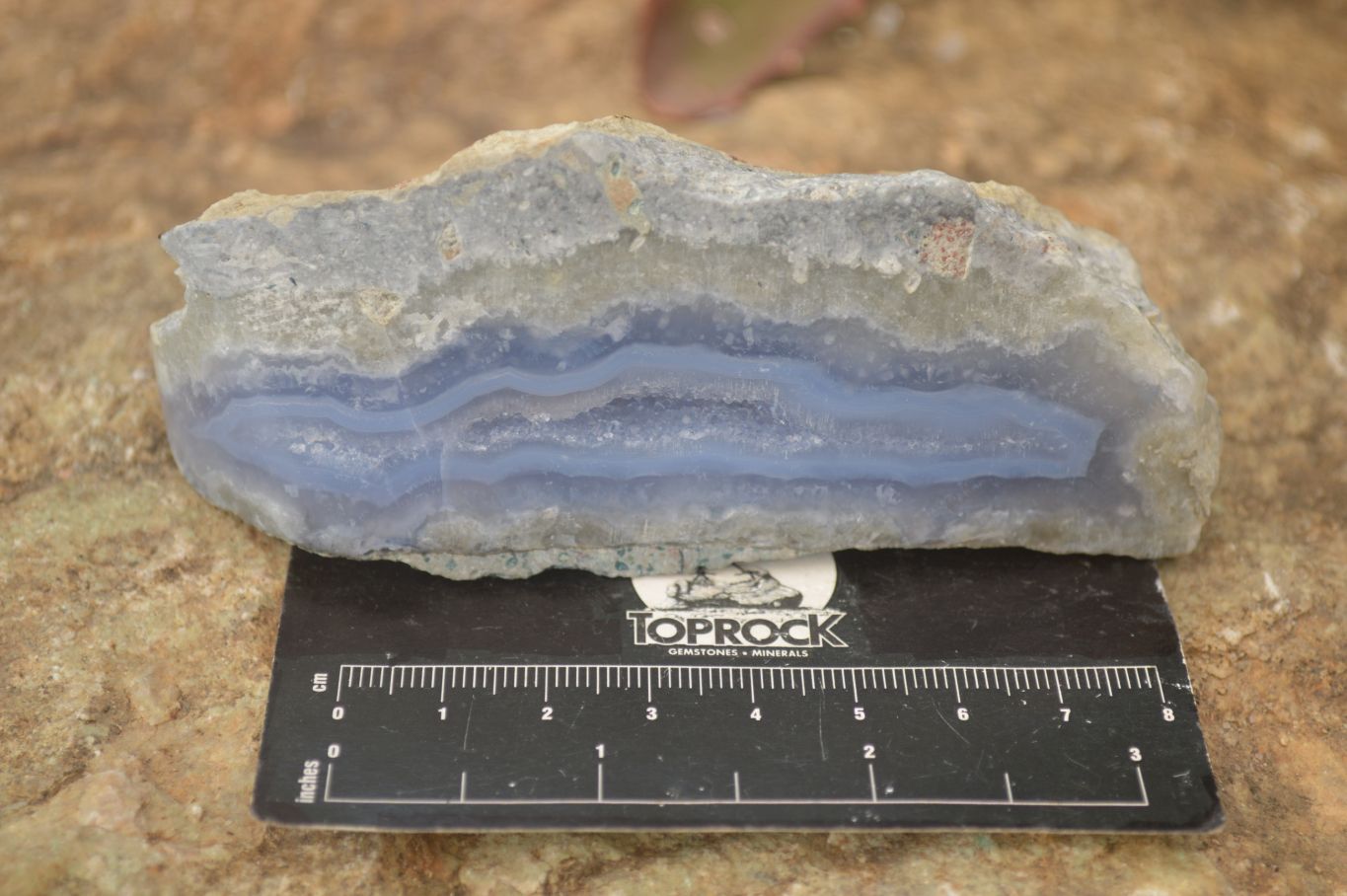 Polished One Side Blue Lace Agate Specimens x 6 From Nsanje, Malawi - Toprock Gemstones and Minerals 