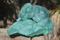 Natural Silky Botryoidal Malachite Specimen  x 1 From Kasompe, Congo - Toprock Gemstones and Minerals 
