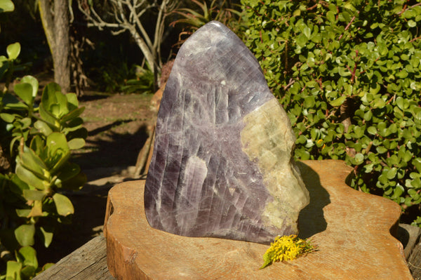 Polished Gorgeous XXL Angelite Anhydrite Display Piece  x 1 From Madagascar - TopRock