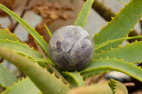 Polished Dream Amethyst Spheres  x 3 From Madagascar - TopRock